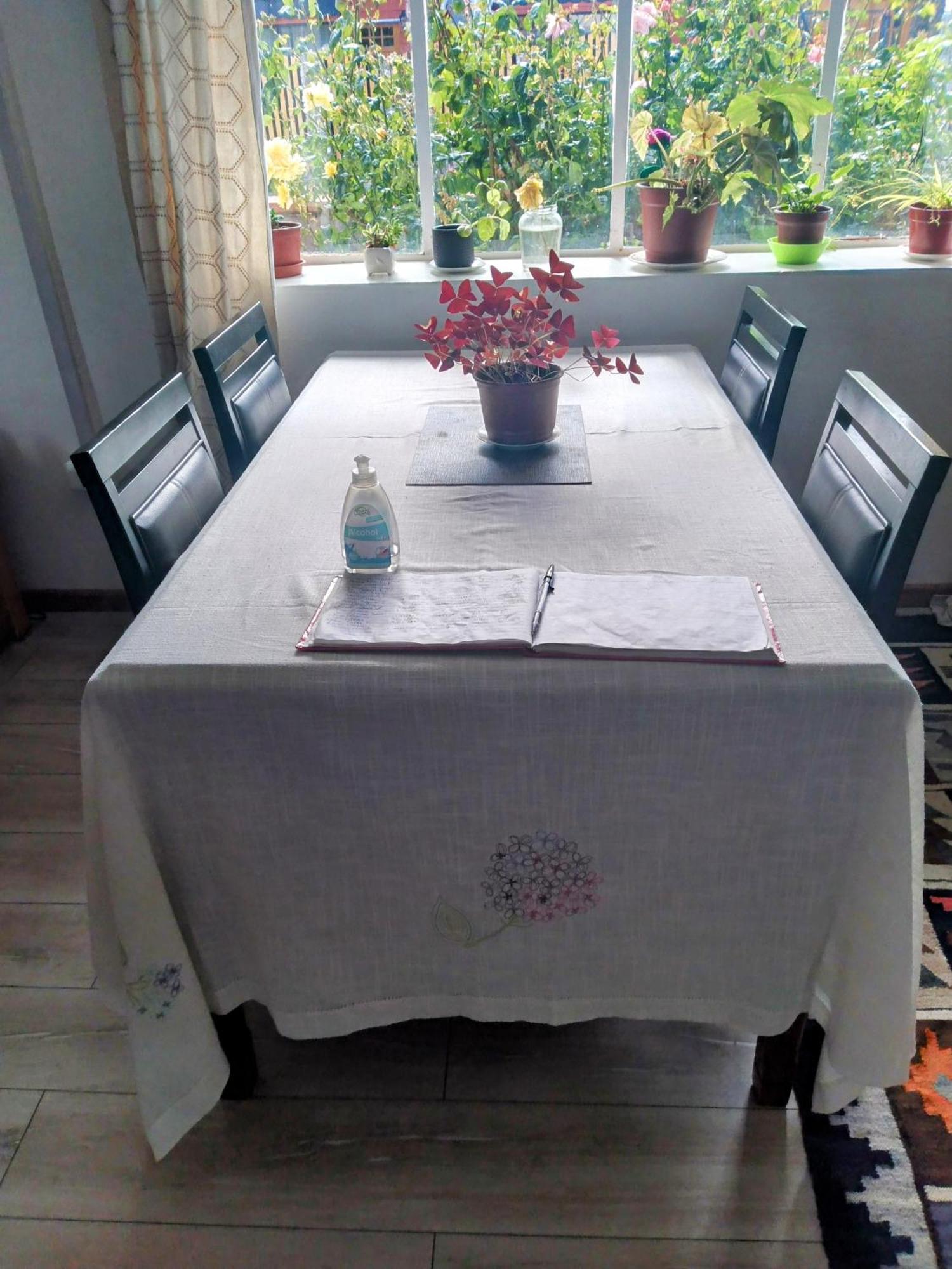 Apartament Antawara Chile Chico Zewnętrze zdjęcie
